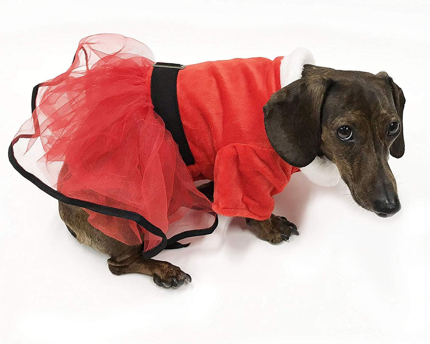 Mrs. Claus Santa Tutu Dog Dress (Xxx-Large)